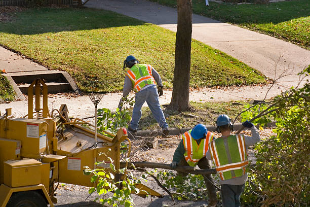 Lawn Grading and Leveling in Leonville, LA